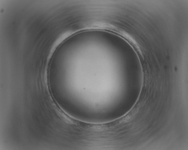 X0000051251480200506241534