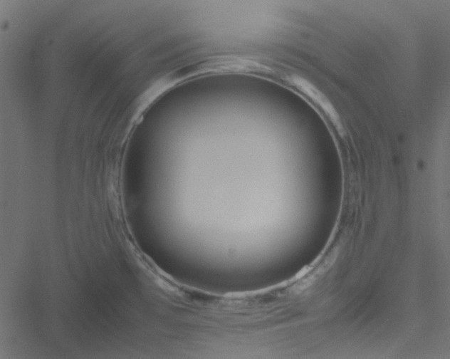 X0000051251481200506241534