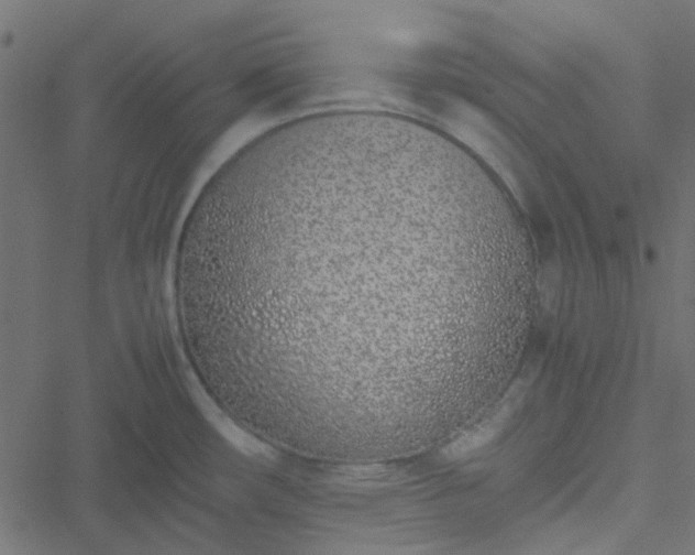 X0000051251482200506241534