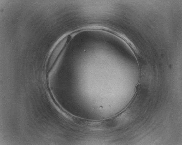 X0000051251484200506241534