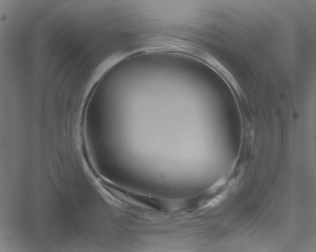 X0000051251485200506241534