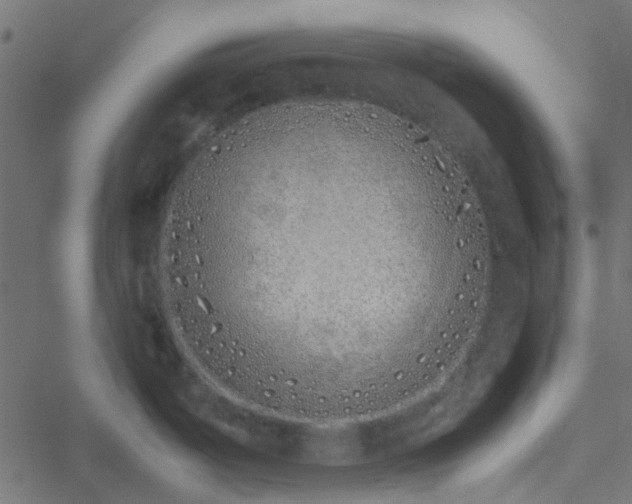 X0000051251487200506241534