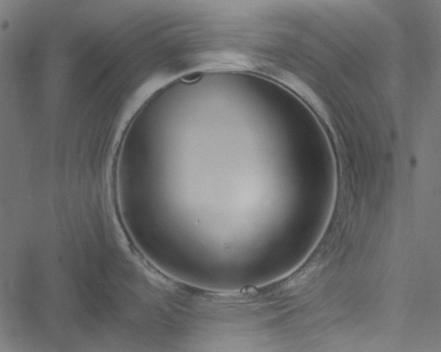 X0000051251488200506241534