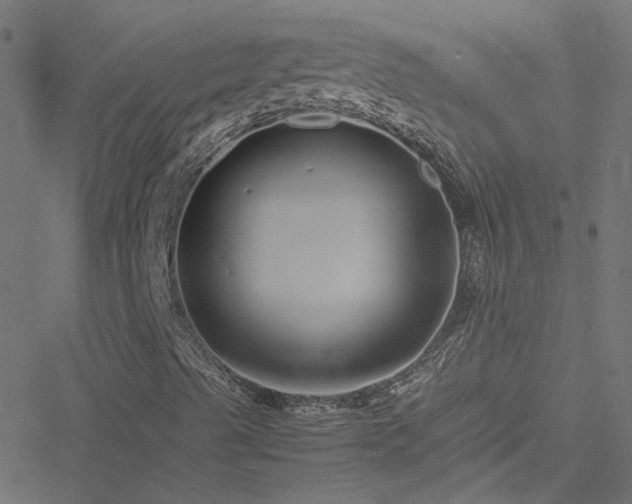 X0000051251489200506241533