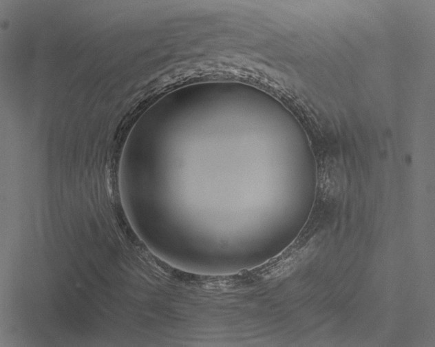 X0000051251490200506241533