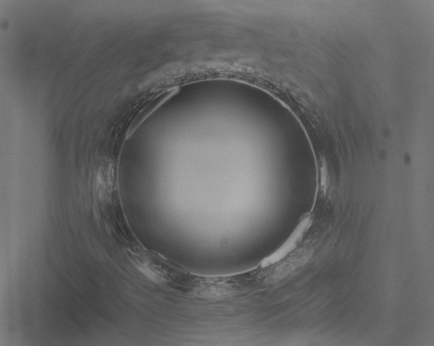 X0000051251492200506241533