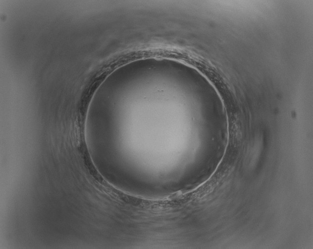 X0000051251493200506241533