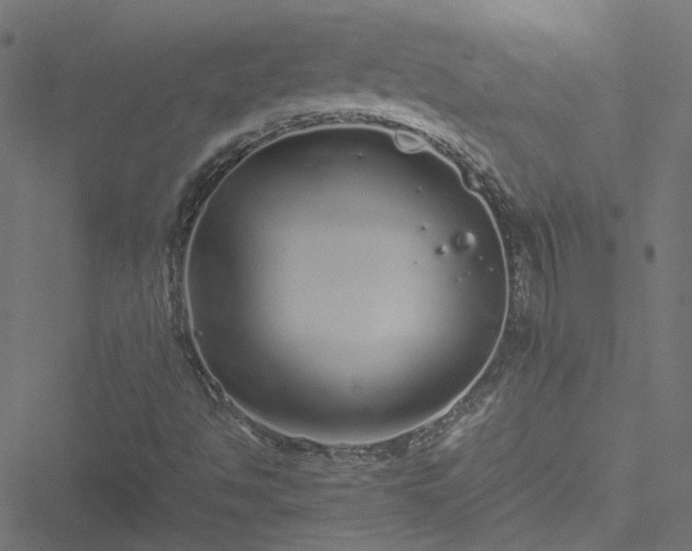 X0000051251494200506241533