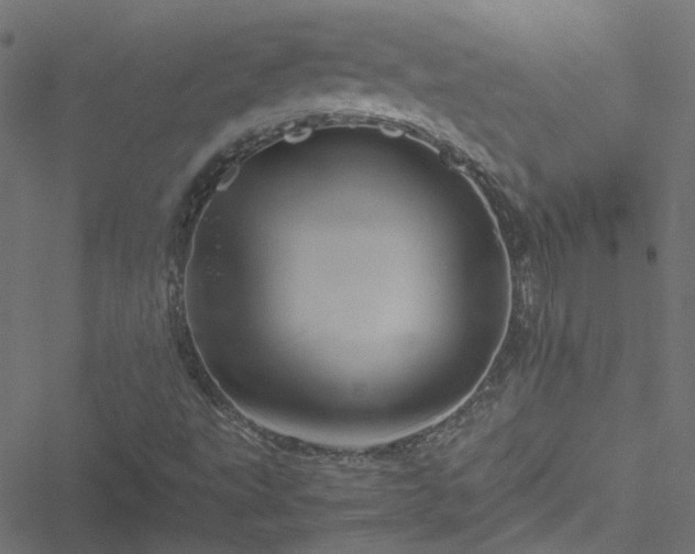 X0000051251495200506241533