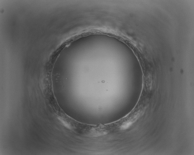 X0000051251496200506241533