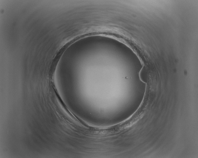 X0000051251497200506241533