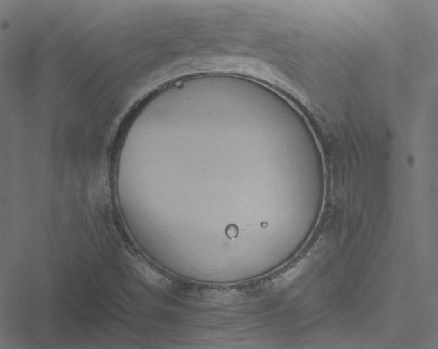 X0000051251498200506241533