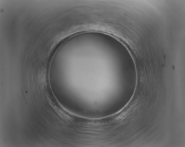 X0000051251499200506241533