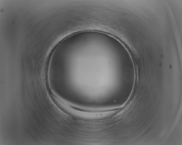 X0000051251500200506241533