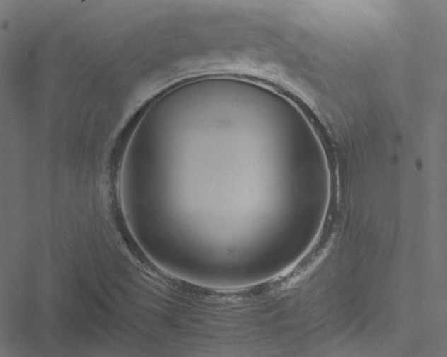 X0000051251501200506241533