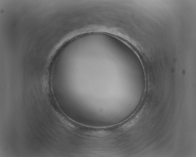 X0000051251502200506241533