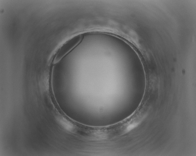 X0000051251504200506241533