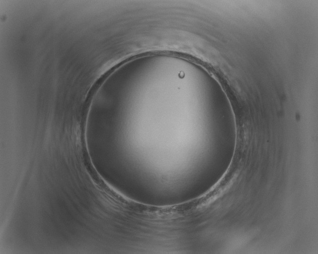 X0000051251505200506241533