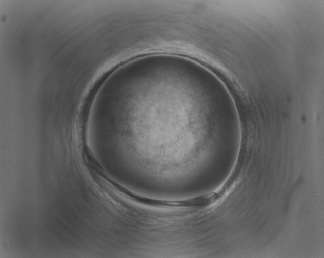 X0000051251506200506241533