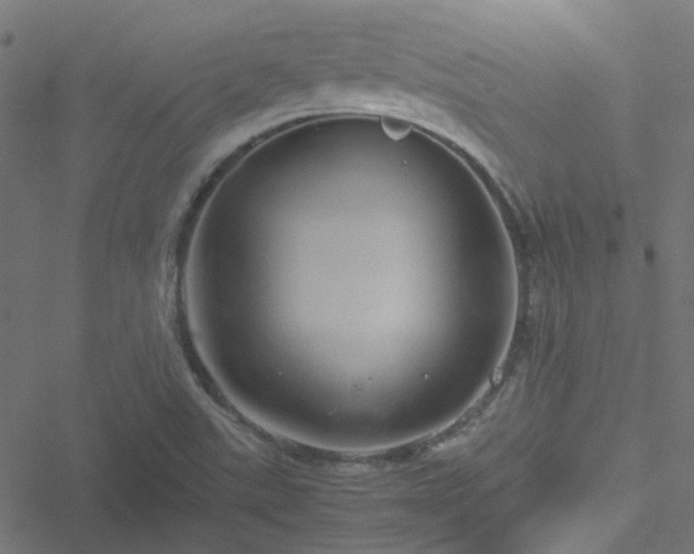 X0000051251507200506241533