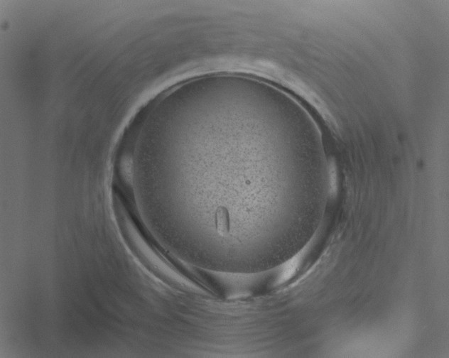 X0000051251508200506241533