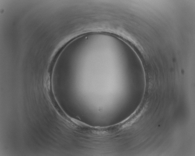 X0000051251509200506241533