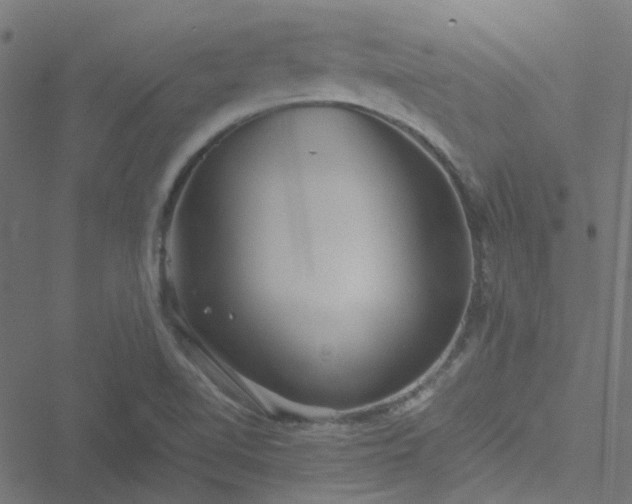 X0000051251510200506241533