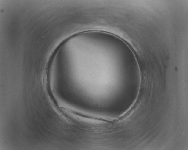 X0000051251511200506241533