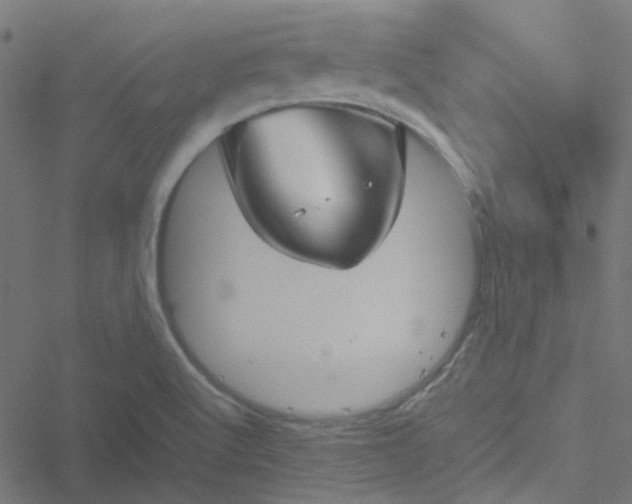 X0000051251512200506241533