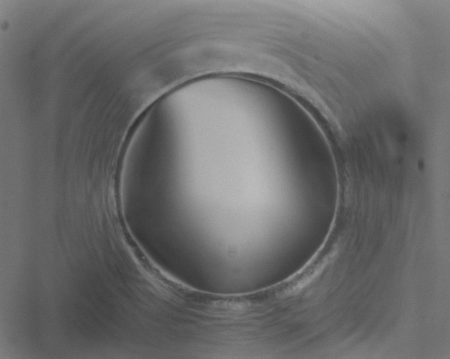 X0000051251513200506241533