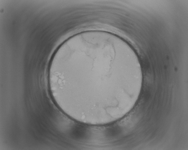 X0000051251514200506241533