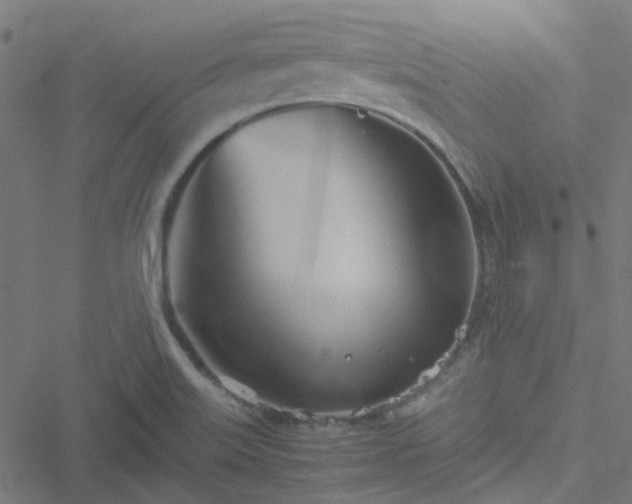 X0000051251515200506241533