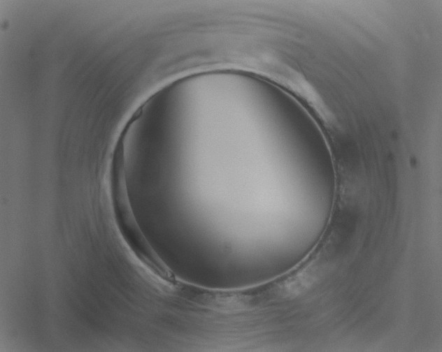 X0000051251516200506241533