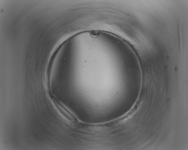 X0000051251517200506241533