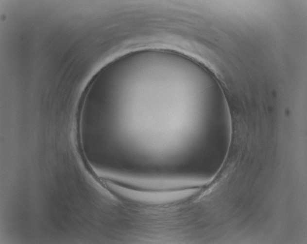 X0000051251518200506241533