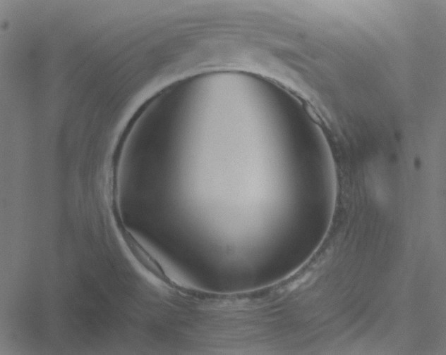 X0000051251519200506241533