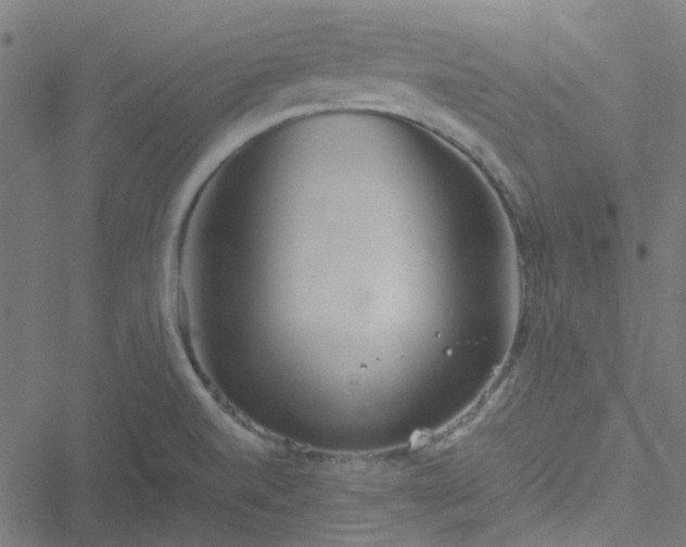 X0000051251520200506241534