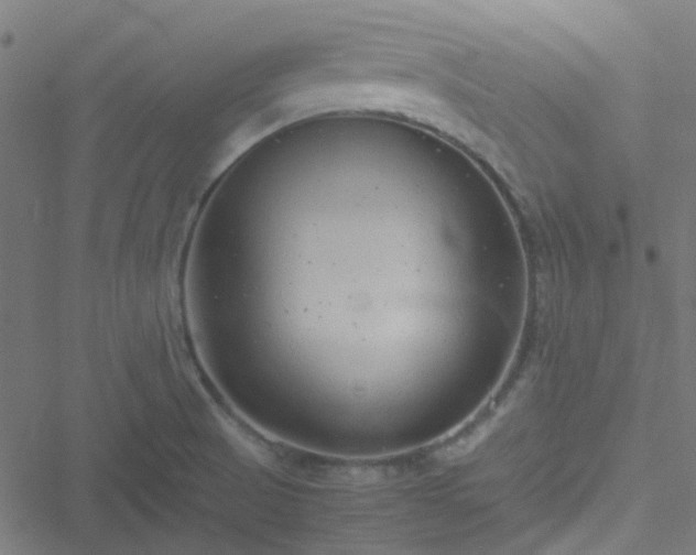 X0000051251521200506241534