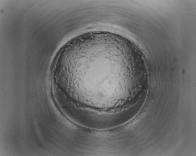 X0000051251522200506241534