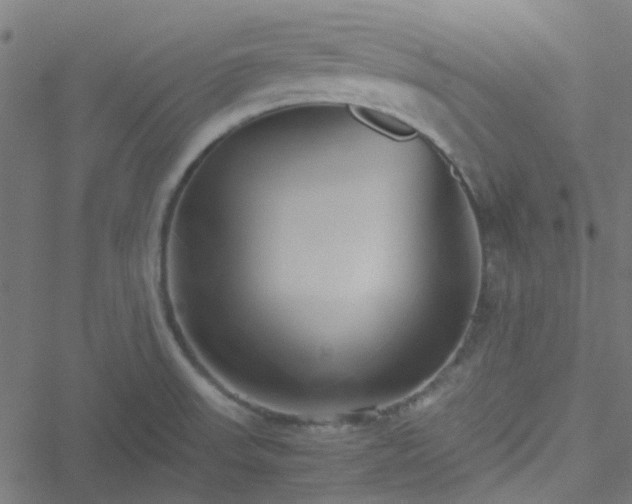 X0000051251523200506241534