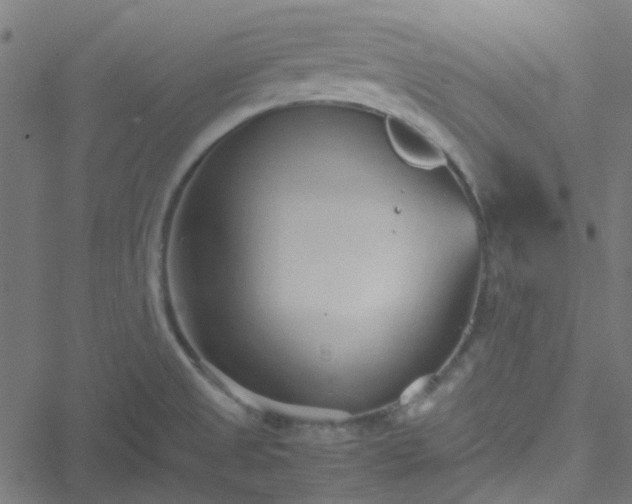 X0000051251525200506241534