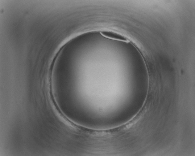 X0000051251526200506241534