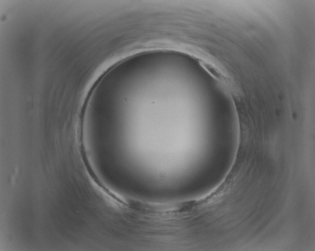 X0000051251527200506241534