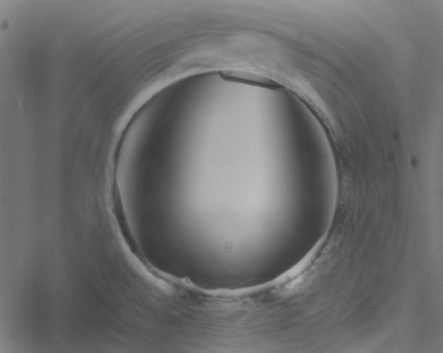 X0000051251528200506241534