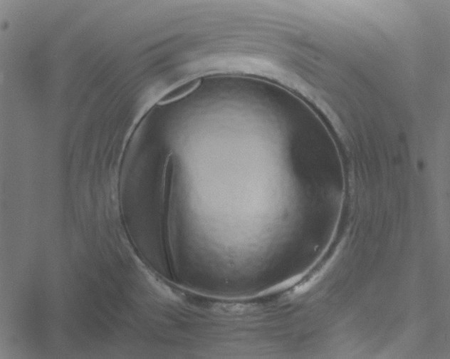 X0000051251529200506241534