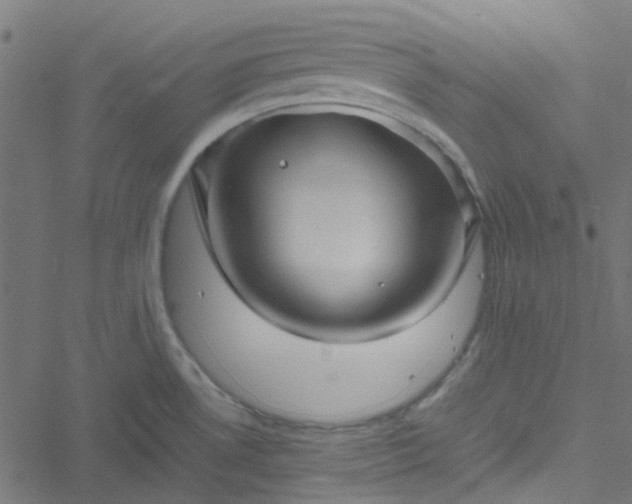 X0000051251530200506241534