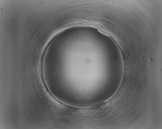 X0000051251531200506241534