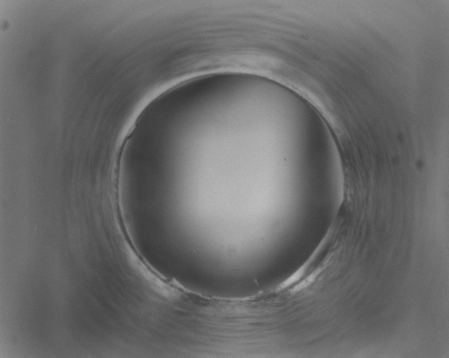 X0000051251532200506241534