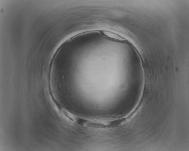 X0000051251534200506241534