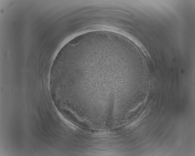 X0000051251535200506241534